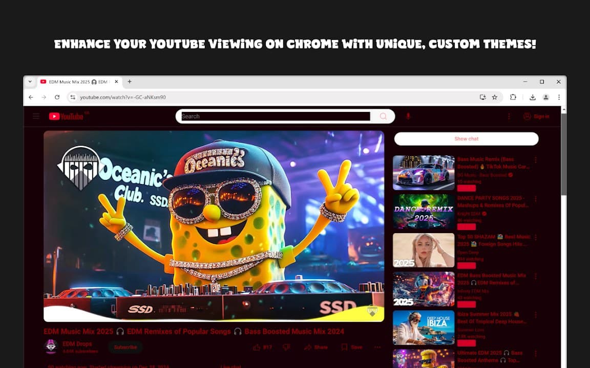 Custom YouTube Styler screenshot 4